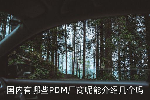 國內(nèi)有哪些PDM廠商呢能介紹幾個嗎