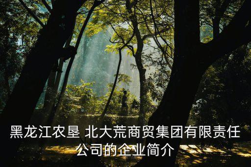 黑龍江農(nóng)墾 北大荒商貿(mào)集團(tuán)有限責(zé)任公司的企業(yè)簡介