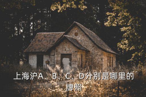  上海滬A、B、C、D分別是哪里的 牌照