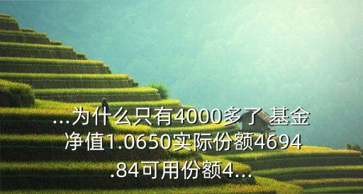 ...為什么只有4000多了 基金 凈值1.0650實際份額4694.84可用份額4...