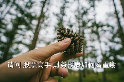 請(qǐng)問(wèn) 股票高手 財(cái)務(wù)報(bào)表如何看重謝!