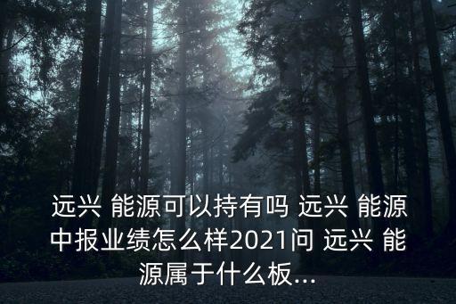  遠興 能源可以持有嗎 遠興 能源中報業(yè)績怎么樣2021問 遠興 能源屬于什么板...