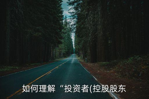 如何理解“投資者(控股股東