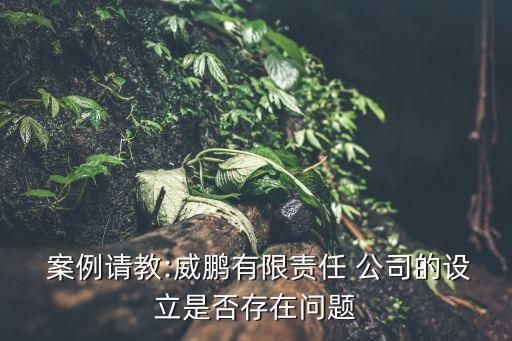 公司債案例,非公開發(fā)行公司債