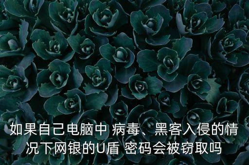 如果自己電腦中 病毒、黑客入侵的情況下網(wǎng)銀的U盾 密碼會被竊取嗎