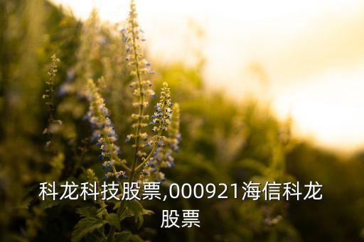 海信科龍科技股票,000921海信科龍股票