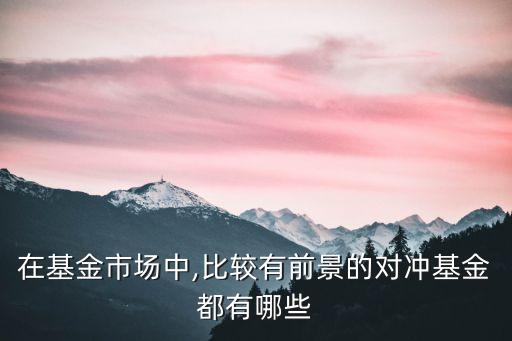 在基金市場(chǎng)中,比較有前景的對(duì)沖基金都有哪些