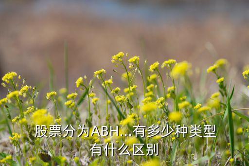  股票分為ABH...有多少種類型有什么區(qū)別