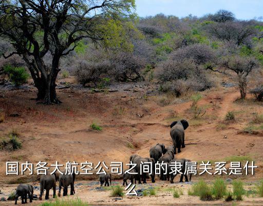 國內(nèi)各大航空公司之間的隸屬關(guān)系是什么