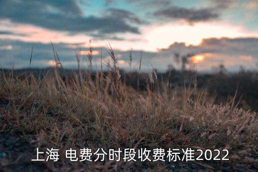  上海 電費(fèi)分時段收費(fèi)標(biāo)準(zhǔn)2022