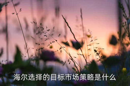 海爾選擇的目標(biāo)市場(chǎng)策略是什么