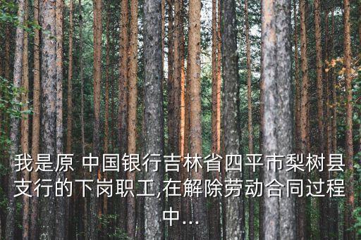 我是原 中國銀行吉林省四平市梨樹縣支行的下崗職工,在解除勞動合同過程中...