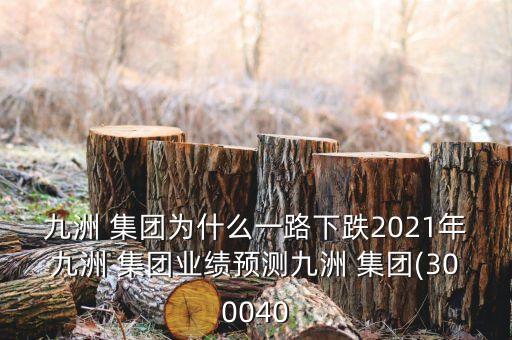 九洲 集團(tuán)為什么一路下跌2021年九洲 集團(tuán)業(yè)績(jī)預(yù)測(cè)九洲 集團(tuán)(300040