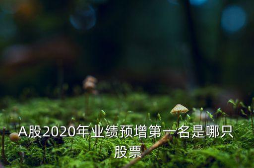 A股2020年業(yè)績(jī)預(yù)增第一名是哪只 股票