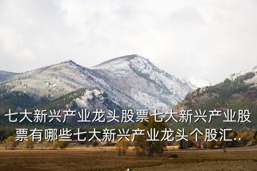 七大新興產(chǎn)業(yè)龍頭股票七大新興產(chǎn)業(yè)股票有哪些七大新興產(chǎn)業(yè)龍頭個(gè)股匯...