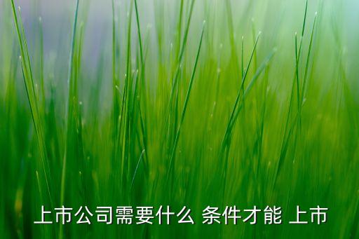 股票的上市條件,股票上市條件股本總額到底是3000萬(wàn)還是5000萬(wàn)