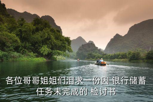 各位哥哥姐姐們淚求一份因 銀行儲(chǔ)蓄任務(wù)未完成的 檢討書