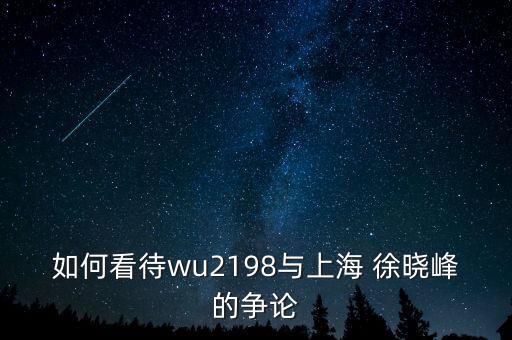 如何看待wu2198與上海 徐曉峰的爭論