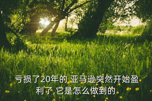  虧損了20年的 亞馬遜突然開(kāi)始盈利了,它是怎么做到的