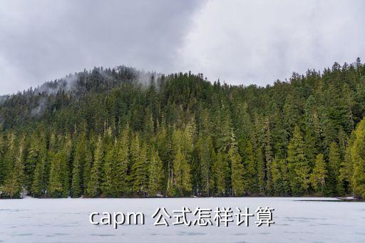 capm 公式怎樣計算