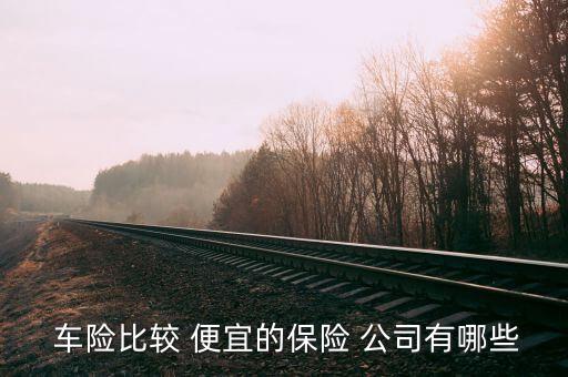  車險比較 便宜的保險 公司有哪些