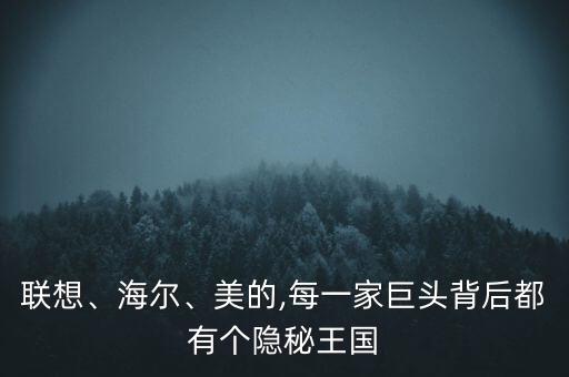 聯(lián)想、海爾、美的,每一家巨頭背后都有個隱秘王國