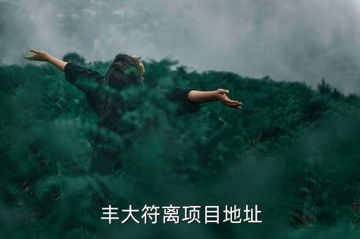  豐大符離項(xiàng)目地址