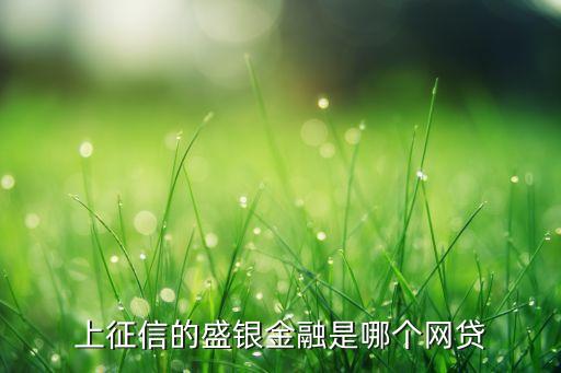 上征信的盛銀金融是哪個網(wǎng)貸