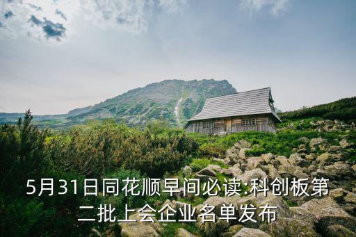 5月31日同花順早間必讀:科創(chuàng)板第二批上會企業(yè)名單發(fā)布