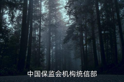 中國保監(jiān)會(huì)機(jī)構(gòu)統(tǒng)信部