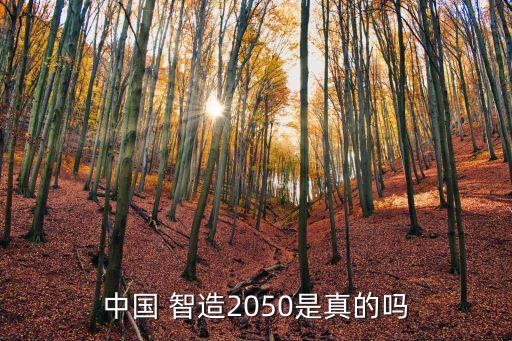 中國 智造2050是真的嗎