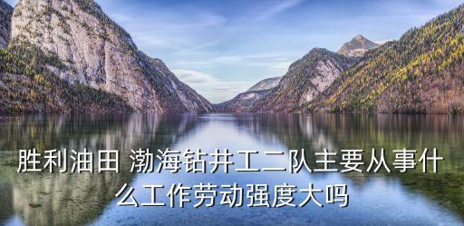 勝利油田 渤海鉆井工二隊主要從事什么工作勞動強度大嗎