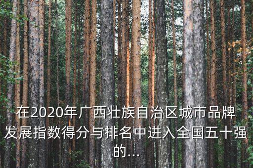 中國社會科學院規(guī)制與競爭研究中心