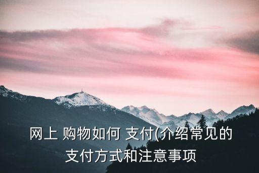 銀行網(wǎng)上購(gòu)物支付的業(yè)務(wù)說(shuō)明