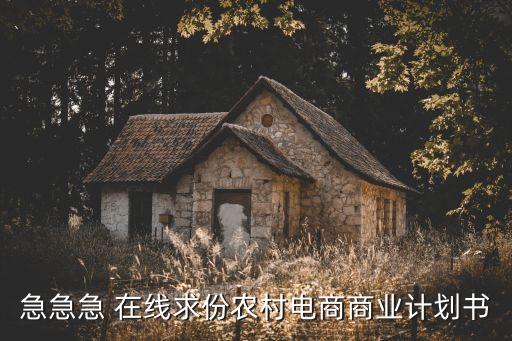 急急急 在線求份農(nóng)村電商商業(yè)計劃書