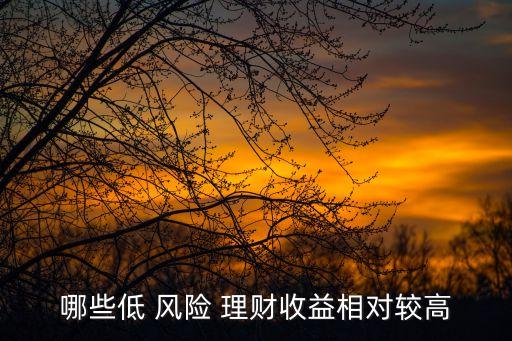 哪些低 風(fēng)險(xiǎn) 理財(cái)收益相對(duì)較高