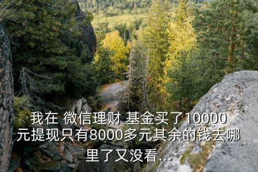 我在 微信理財(cái) 基金買了10000元提現(xiàn)只有8000多元其余的錢去哪里了又沒(méi)看...