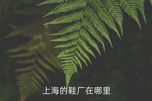  上海的鞋廠在哪里