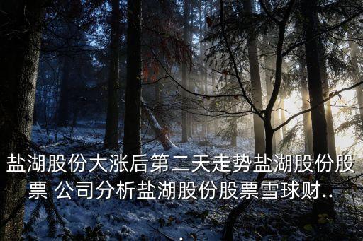 鹽湖股份大漲后第二天走勢鹽湖股份股票 公司分析鹽湖股份股票雪球財...