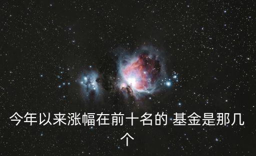 今年以來(lái)漲幅在前十名的 基金是那幾個(gè)