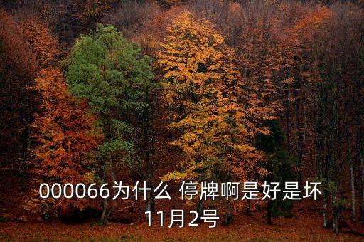 000066為什么 停牌啊是好是壞11月2號(hào)