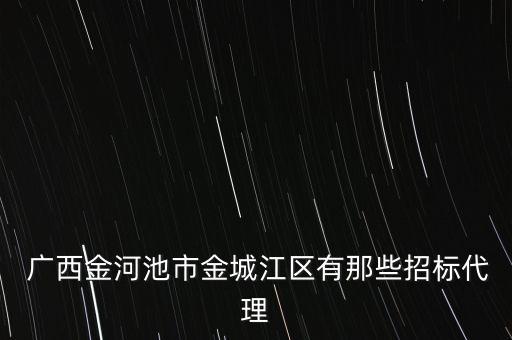  廣西金河池市金城江區(qū)有那些招標代理