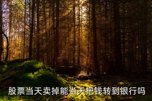  股票當(dāng)天賣掉能當(dāng)天把錢轉(zhuǎn)到銀行嗎