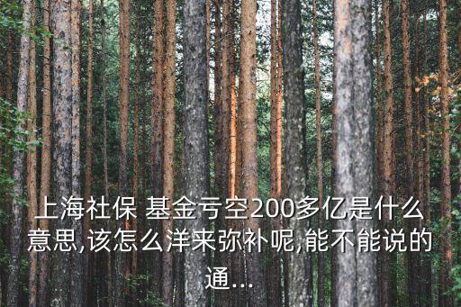 上海社保 基金虧空200多億是什么意思,該怎么洋來(lái)彌補(bǔ)呢,能不能說(shuō)的通...