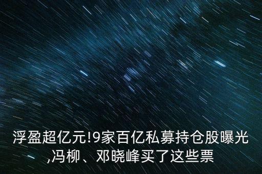 浮盈超億元!9家百億私募持倉股曝光,馮柳、鄧曉峰買了這些票