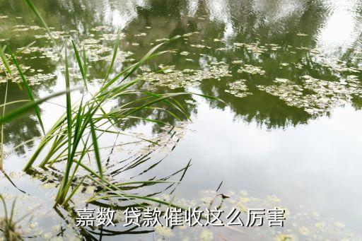 嘉數(shù) 貸款催收這么厲害