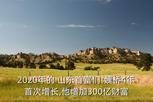 2020年的 山東首富們:魏橋4年首次增長,他增加300億財(cái)富