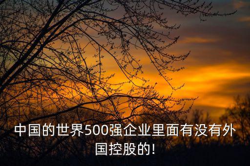 中國的世界500強(qiáng)企業(yè)里面有沒有外國控股的!