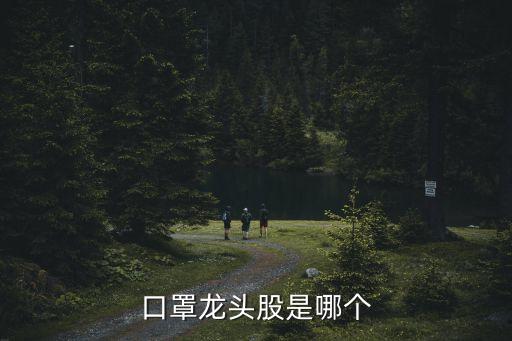 普利特股票千股千評,股票普利特現價多少