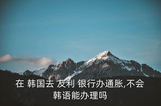 在 韓國去 友利 銀行辦通脹,不會韓語能辦理嗎